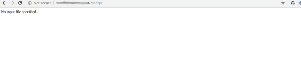 No input file specified error