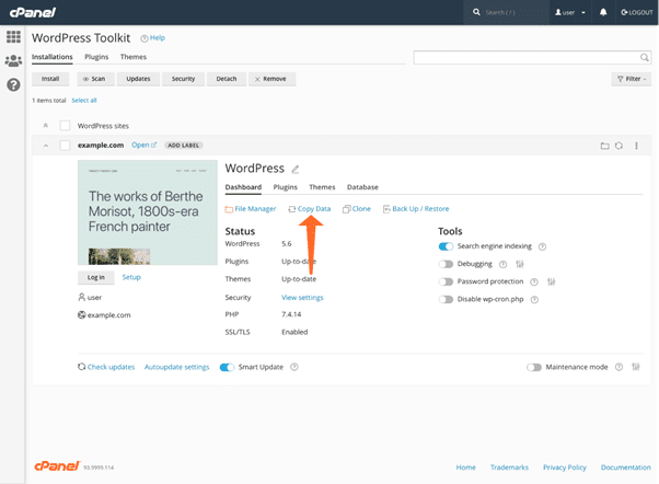 Copy Data tool in the staging site