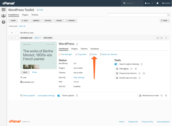 set up the WordPress staging site