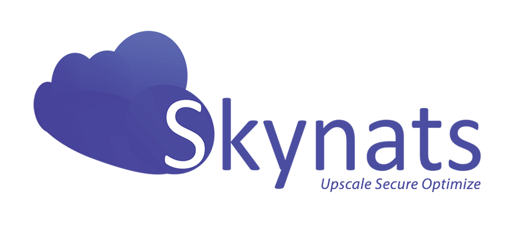Skynats Logo