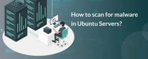 malware on an Ubuntu server