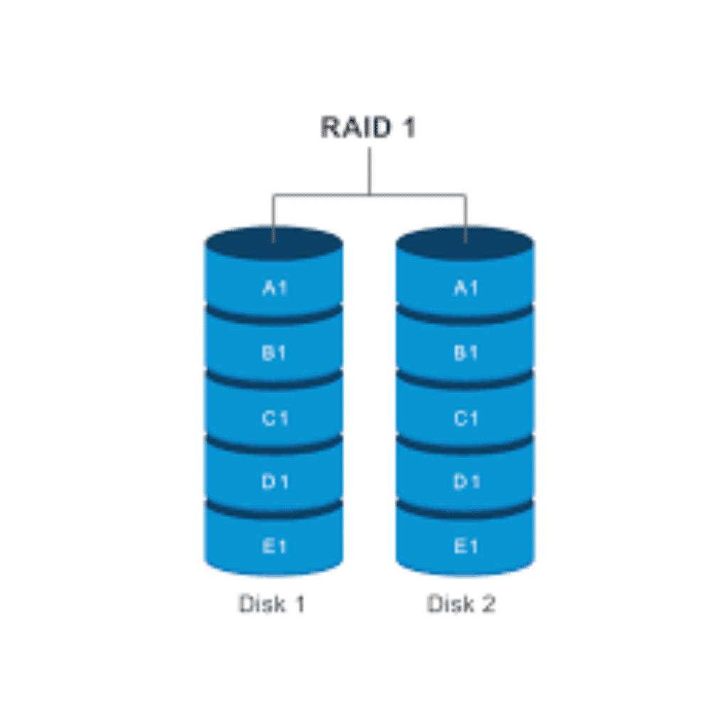 RAID 1