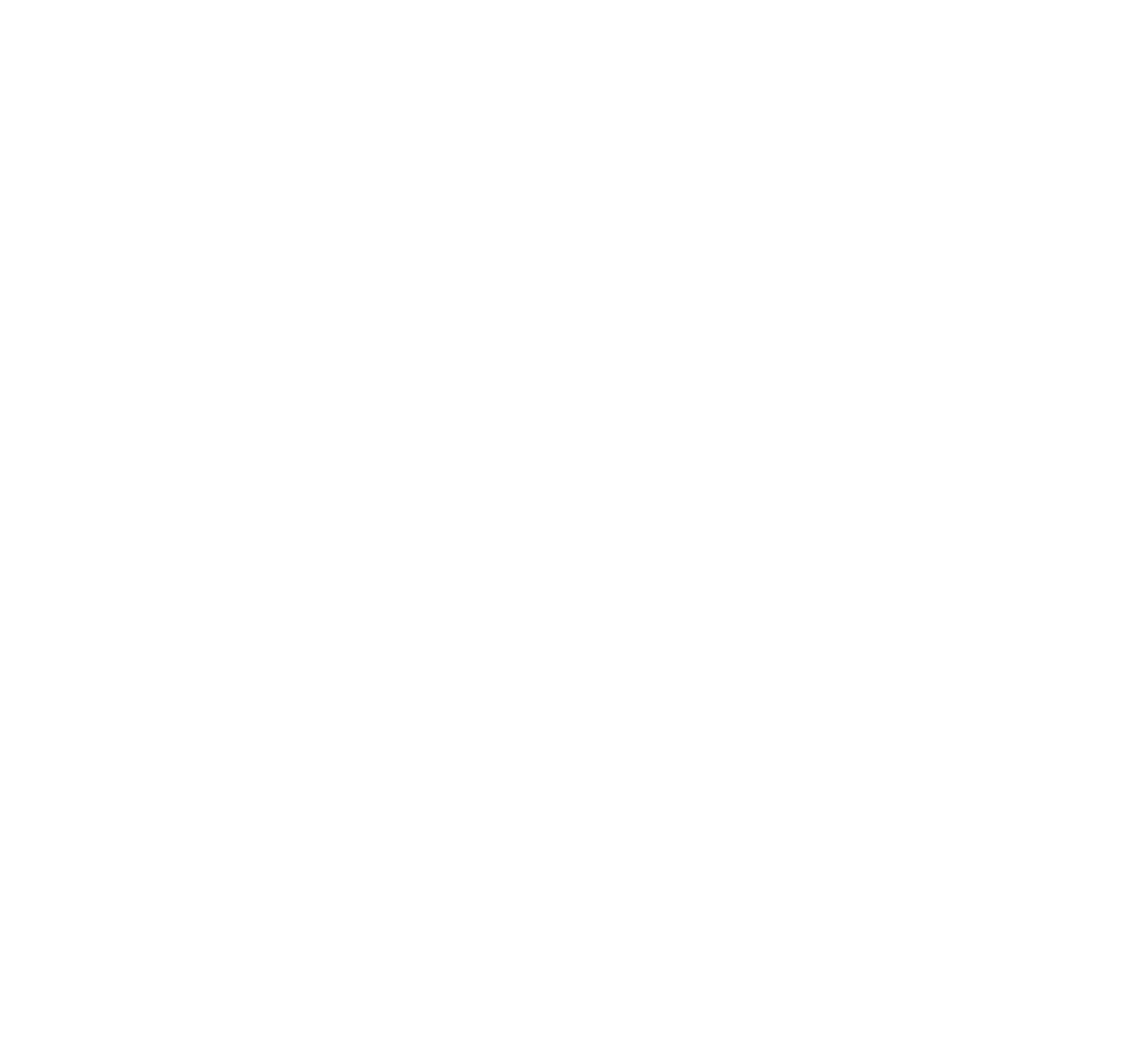 Skynats 10years of excellence